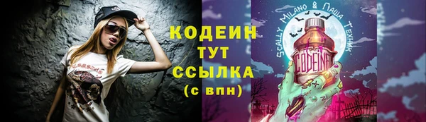 молекула духа Заволжье