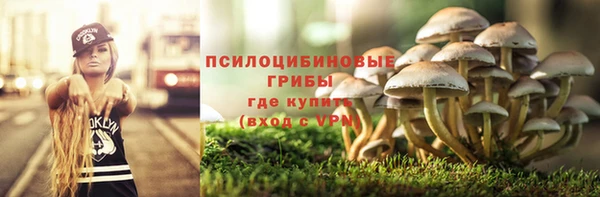 молекула духа Заволжье