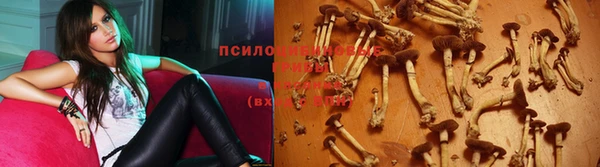 мяу мяу кристалл Елизово