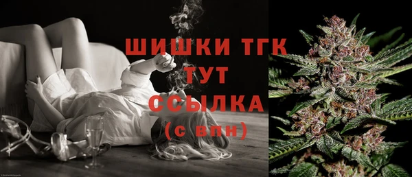 молекула духа Заволжье