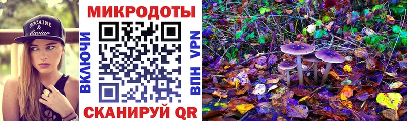 Купить где  Горбатов  Псилоцибиновые грибы Psilocybine cubensis 